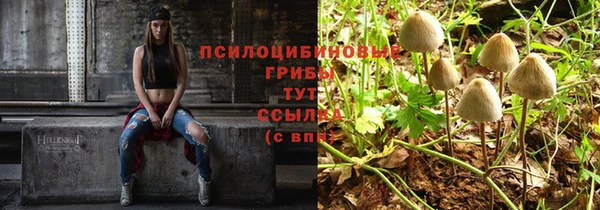 кристаллы Липки