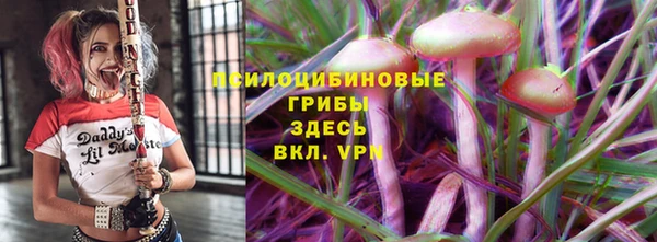 амф Магас