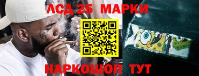 шишки Изобильный