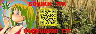 шишки Изобильный