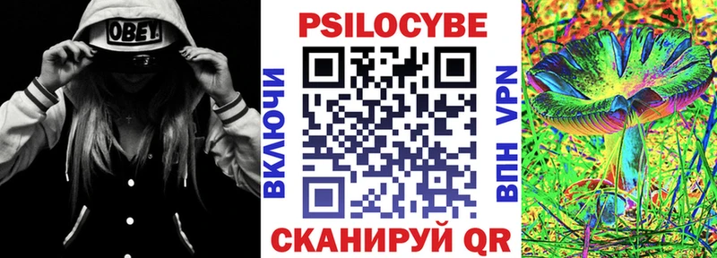 Галлюциногенные грибы Psilocybine cubensis  купить наркотик  Муравленко 