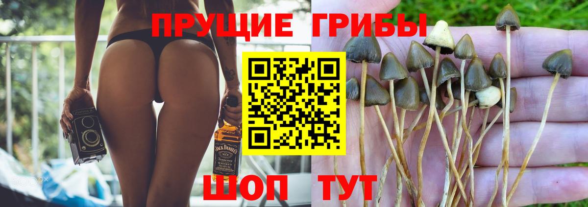 Галлюциногенные грибы мицелий  Вход с VPN  Муравленко 